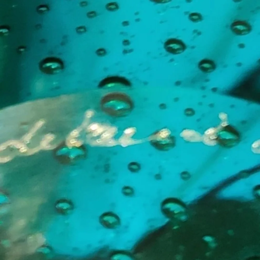 MASSIVE Signed Hadeland Gladverk "Greenland " Platter 1950 Arne Jon Jutrem - Picture 7 of 11